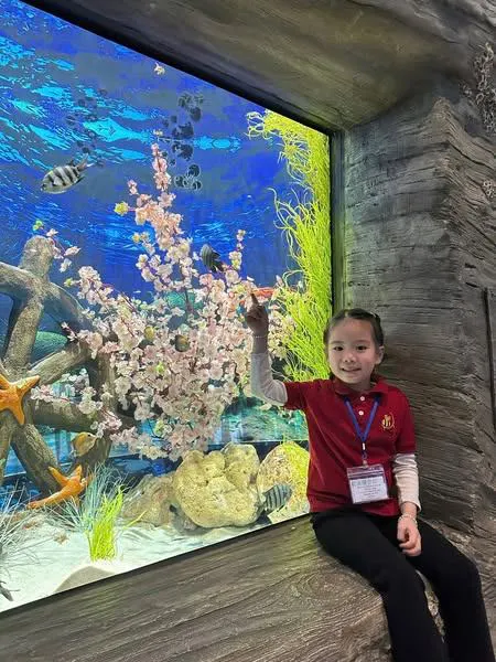 Mầm Non Bee Montessori