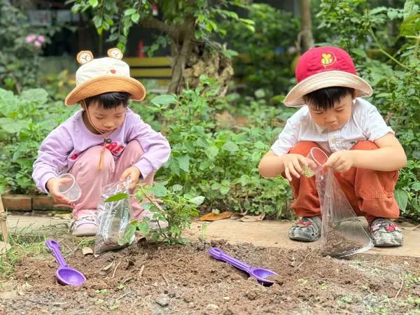 Mầm Non Bee Montessori