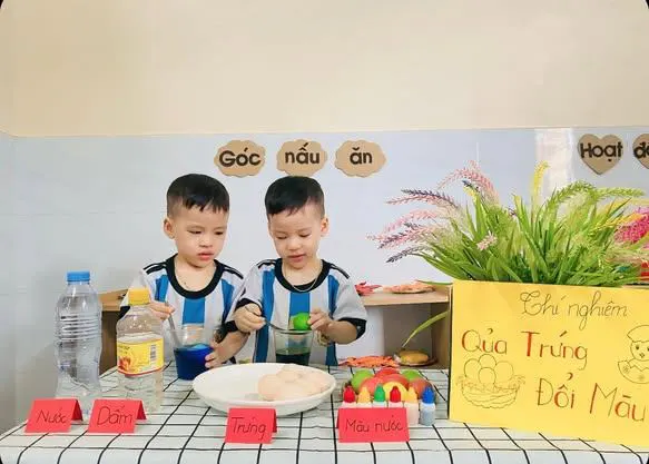 Trường Mầm Non Sao Mai - TT Phúc Thọ