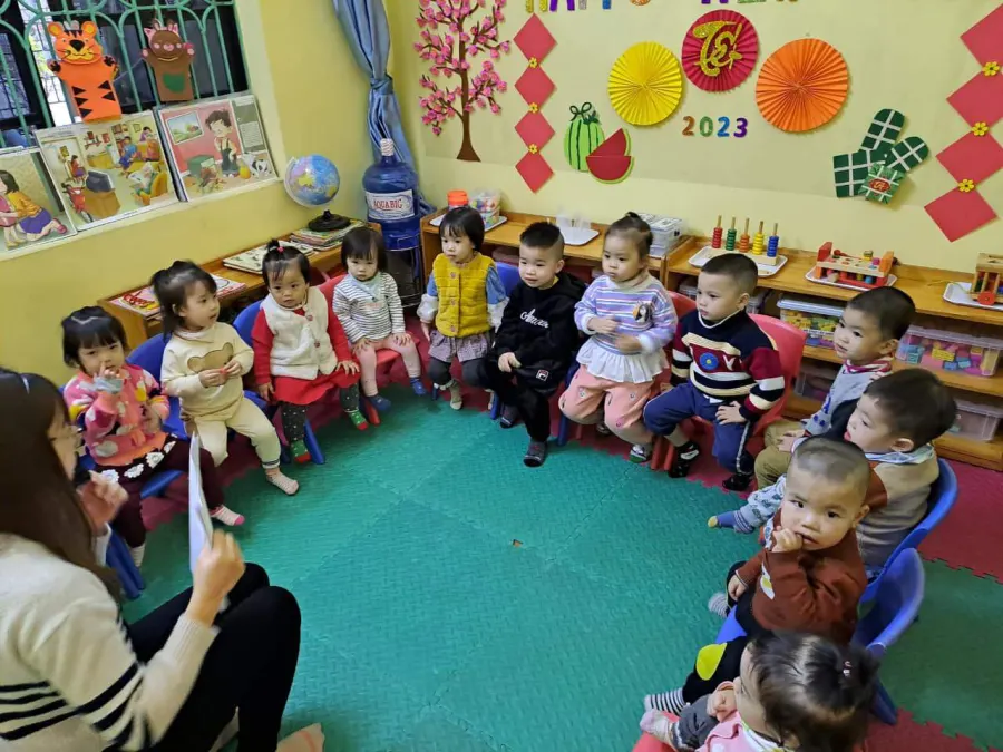 Mầm Non Mai Vàng