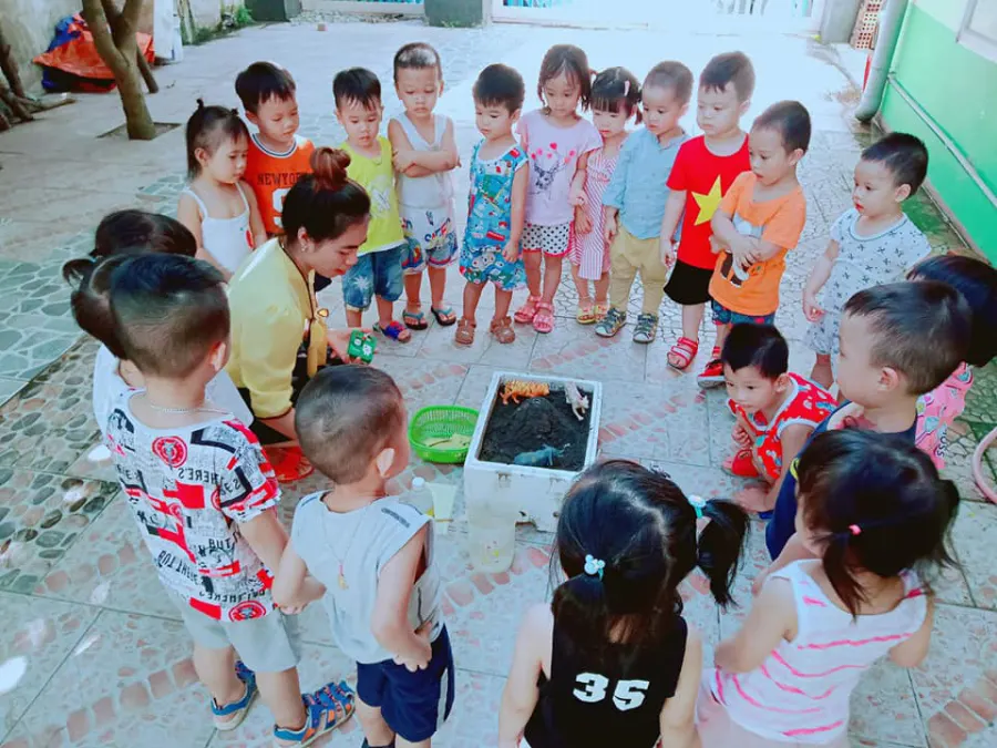 Trường mầm non Hoa Anh Đào