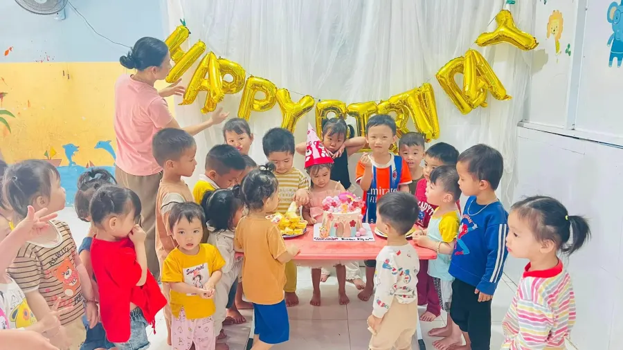 Mầm Non Hoa Hướng Dương