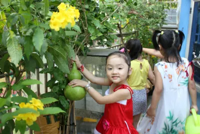Trường mầm non Mai vàng