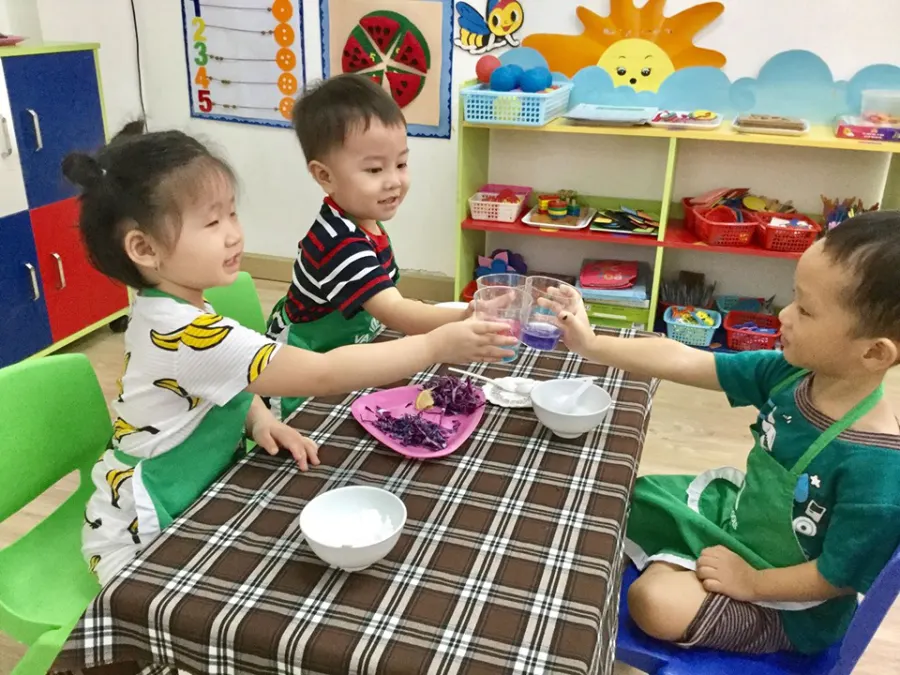 Hệ Thống Trường Việt Mỹ - VAschools