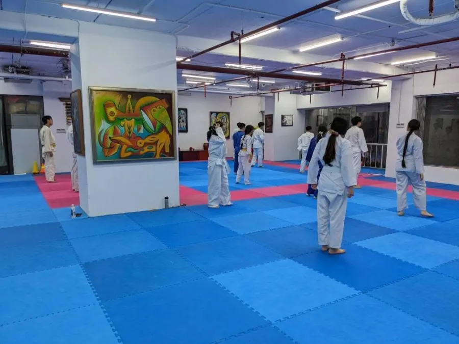 Câu lạc bộ Võ thuật Việt Nhật -Vietnhatclub Centre