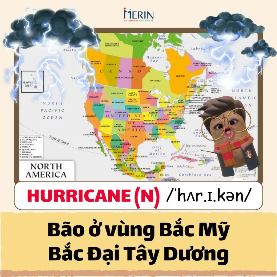 Trung tâm Merin English Lab