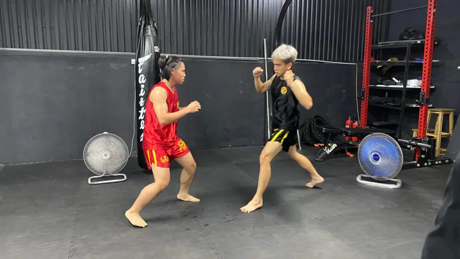 Câu lạc bộ Wushu Tán Thủ