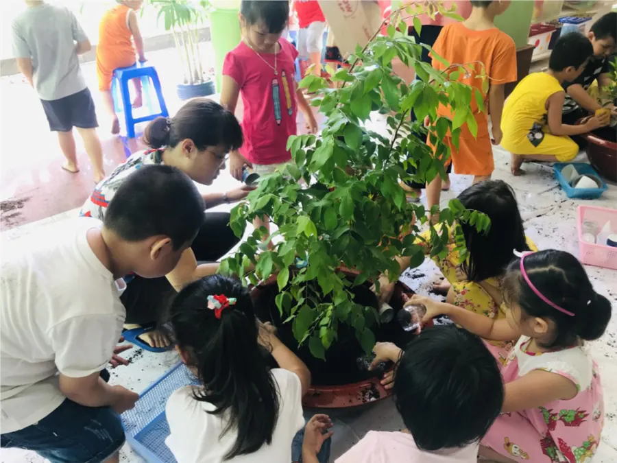 Trường mầm non 1A