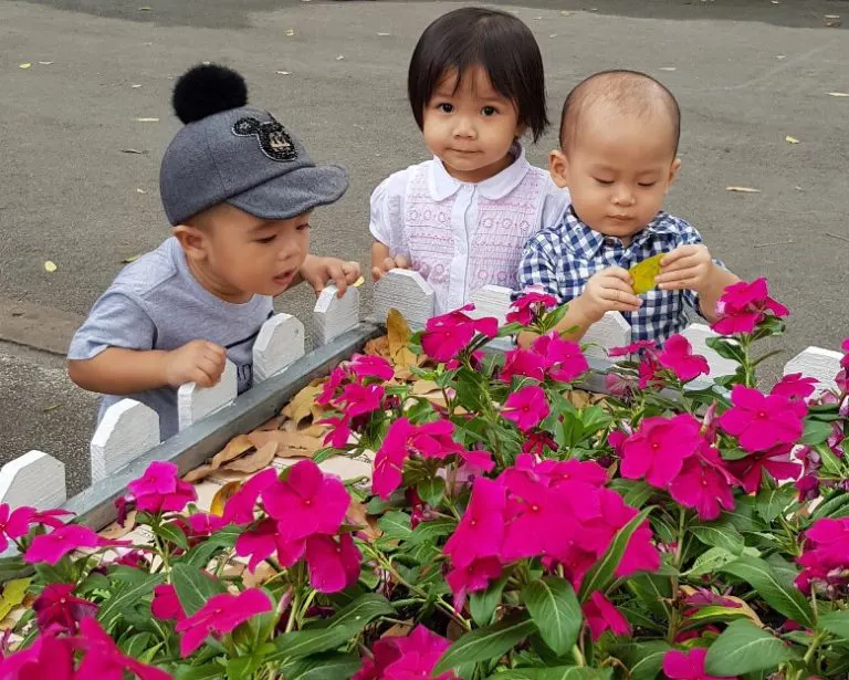 Trường mầm non Saigon Montessori