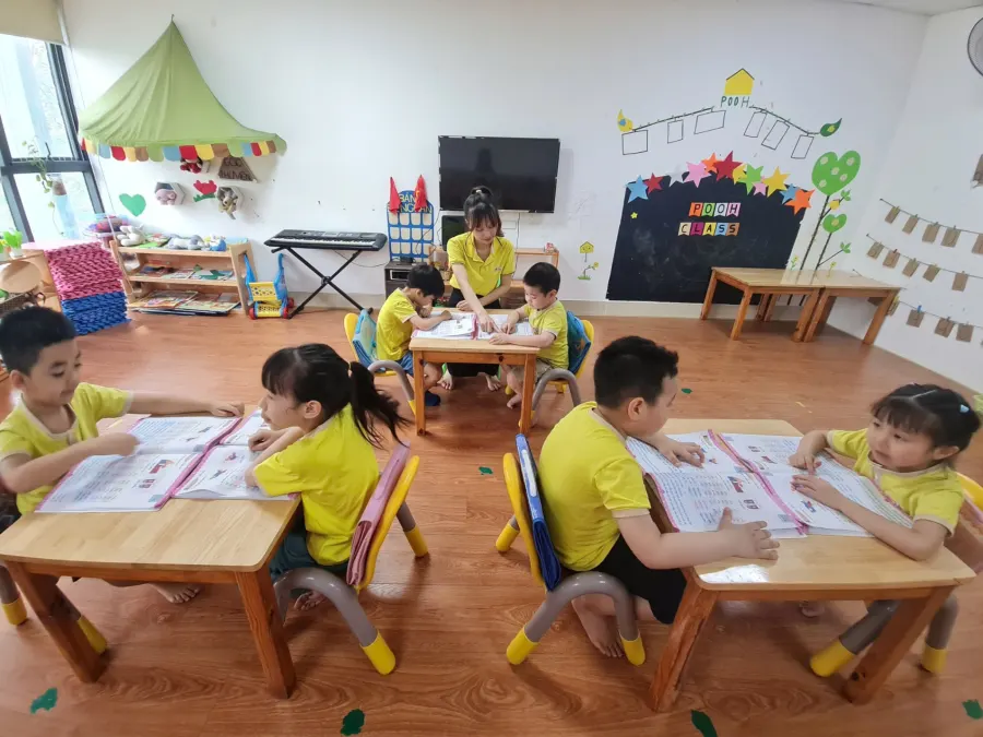 Trường Mầm Non Chất lượng cao BiBo (BiBo Preschool)