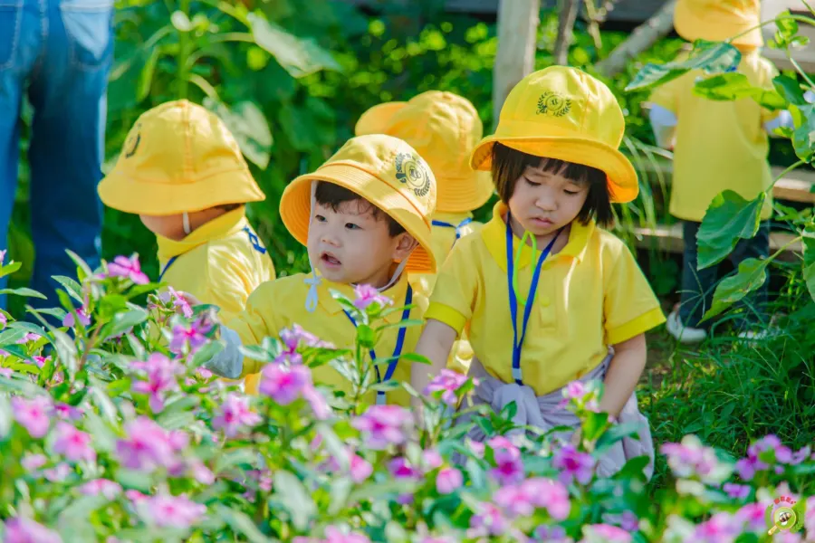 Trường Mầm Non BEEs’ Hoa Trà My