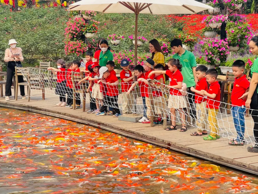 Trường Mầm Non Việt Hàn Montessori