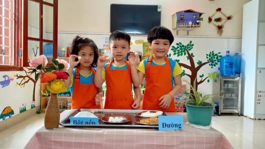 Trường mầm non Ngôi Sao Xanh (BlueStar Kindergarten - BSK) - Phúc Đồng, Long Biên