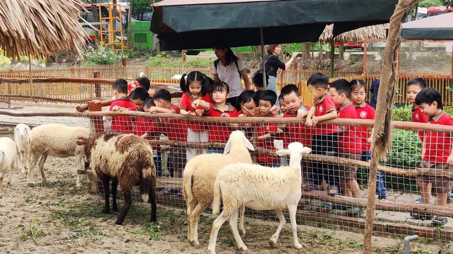 Trường Mầm Non Hoa Mai