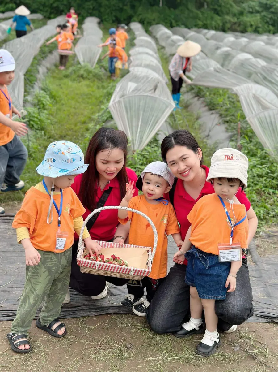 Trường Mầm Non Mai Phương - Hoàng Ngân, Thanh Xuân