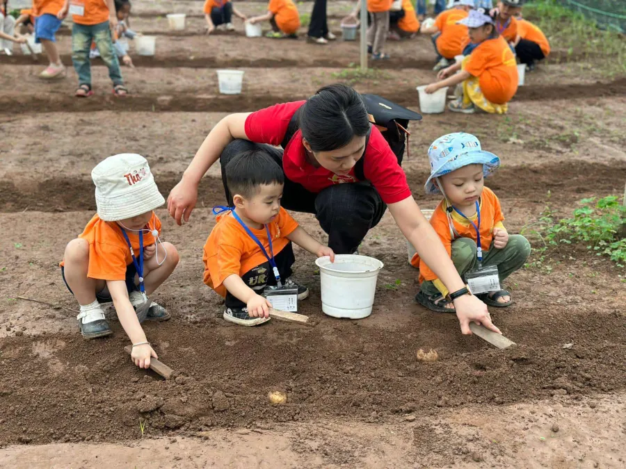 Trường Mầm Non Mai Phương - Hoàng Ngân, Thanh Xuân