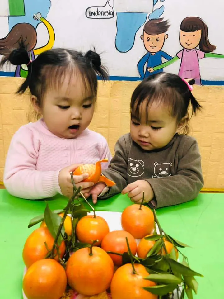 Trường Mầm Non Mặt trời Bé Con (Little Sun) - 148 Lê Trọng Tấn