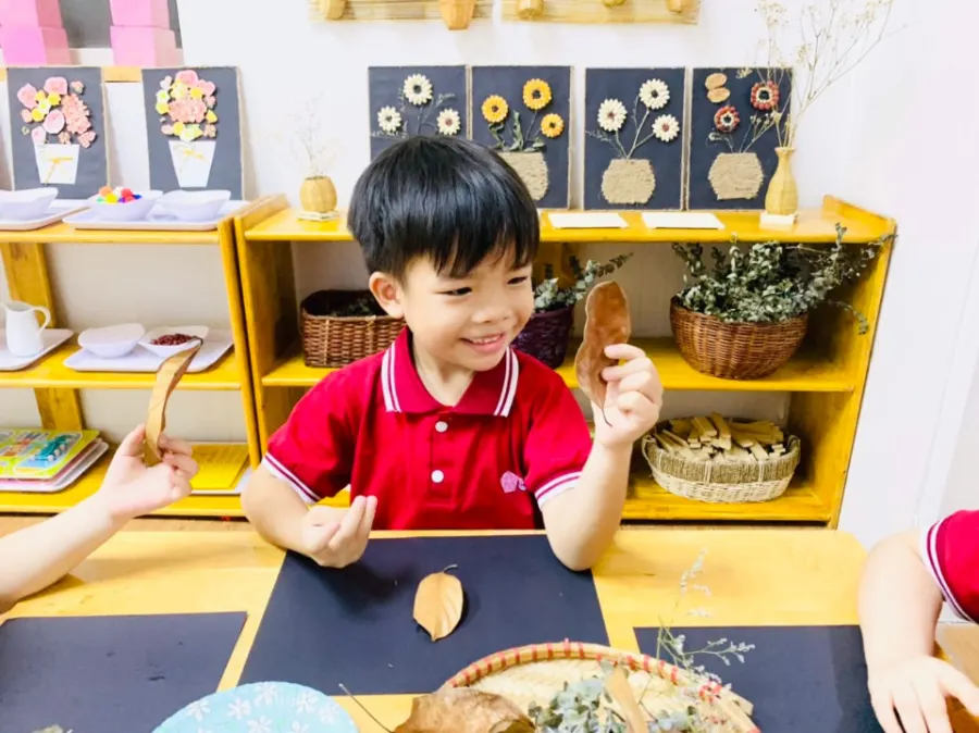 Trường Mầm Non Nice Kids - Mộ Lao, Hà Đông