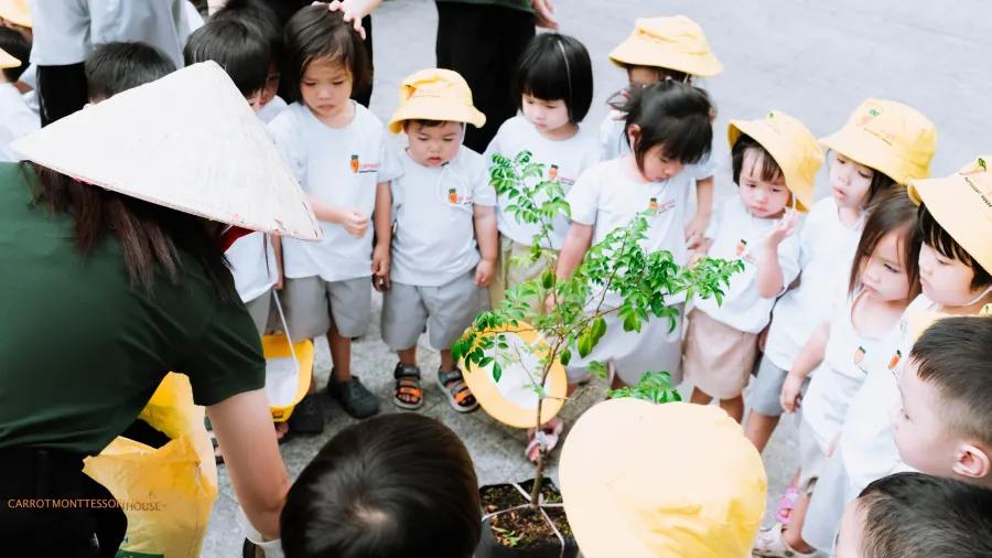 Trường Mầm Non Carrot Montessori House