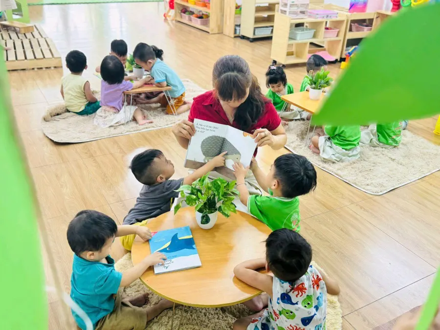 Trường Mầm Non Phượng Hồng - Phượng Hồng Kindergarten - Bình Trị Đông - TPHCM