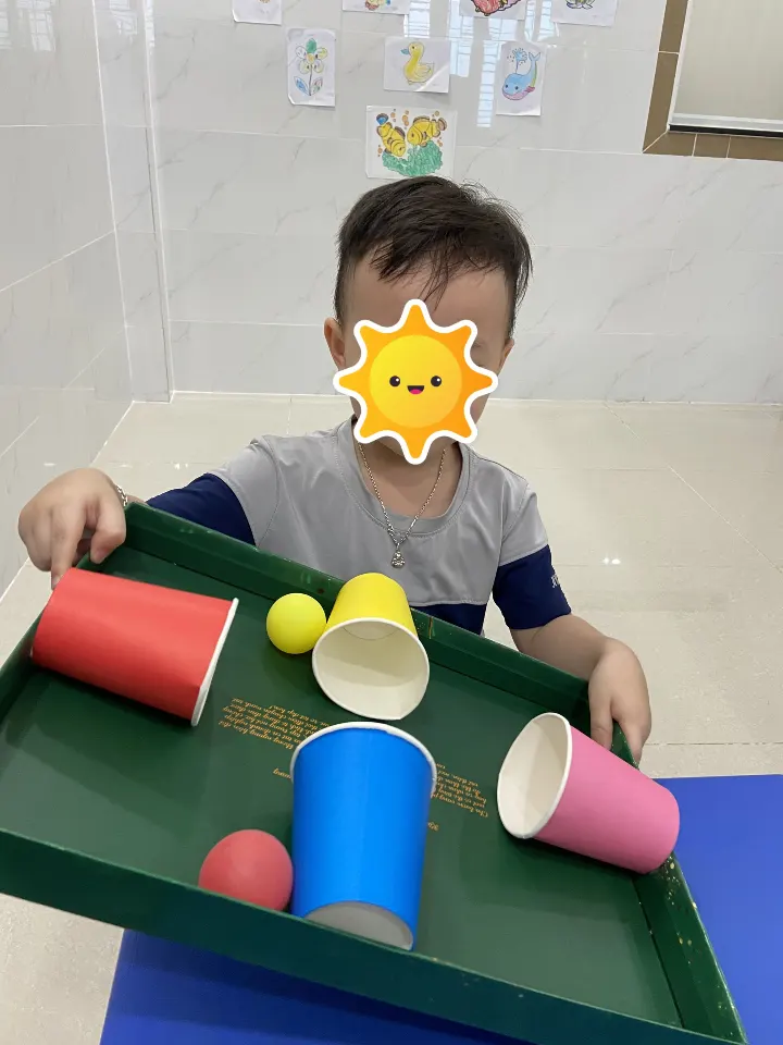 Trung Tâm Dạy Trẻ Chậm Nói Tự Kỷ Trí Việt Long Thạnh Mỹ