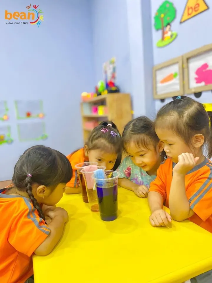 Trường Mẫu Giáo Hạt Đậu Nhỏ (Bean Preschool)