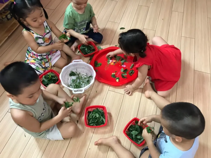 Trường mầm non Hoa Trạng Nguyên - Đà Nẵng, Hải Phòng