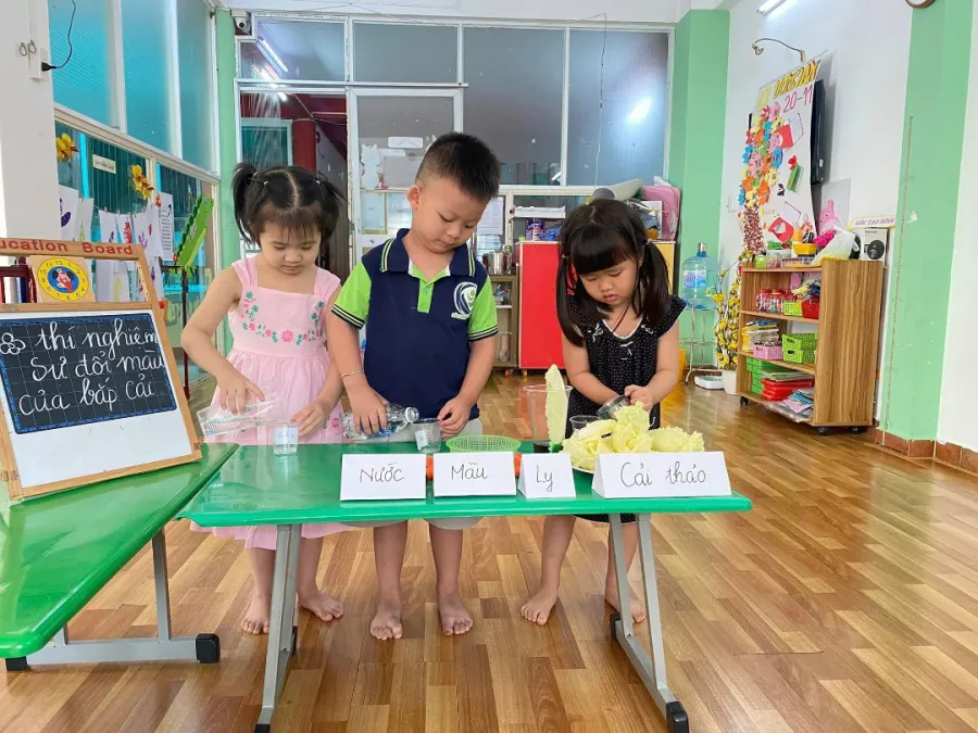 Trường mầm non Khôi Việt