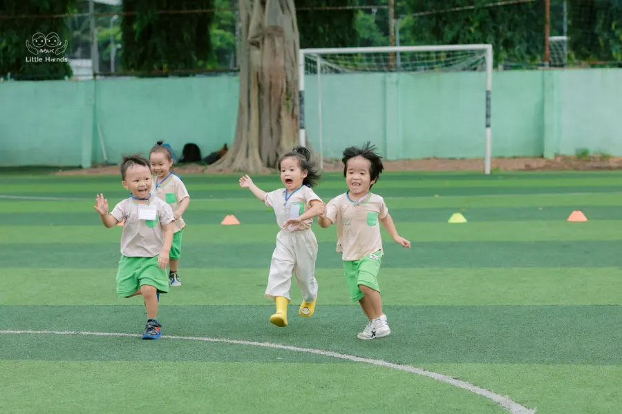 Trường Mầm Non Quốc Tế Miraiku Little Hands - Cơ Sở Phan Đình Phùng & Cơ Sở Nguyễn Văn Trỗi, quận Phú Nhuận