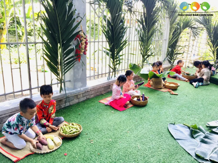 Trường Mầm Non Đàn Chim Non