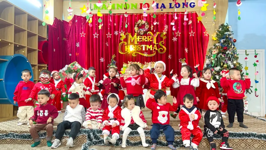 Trường Mầm Mon IQ Hạ Long