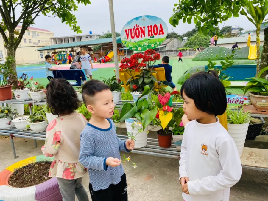 Trường Mầm Non Hoa Sen Montessori