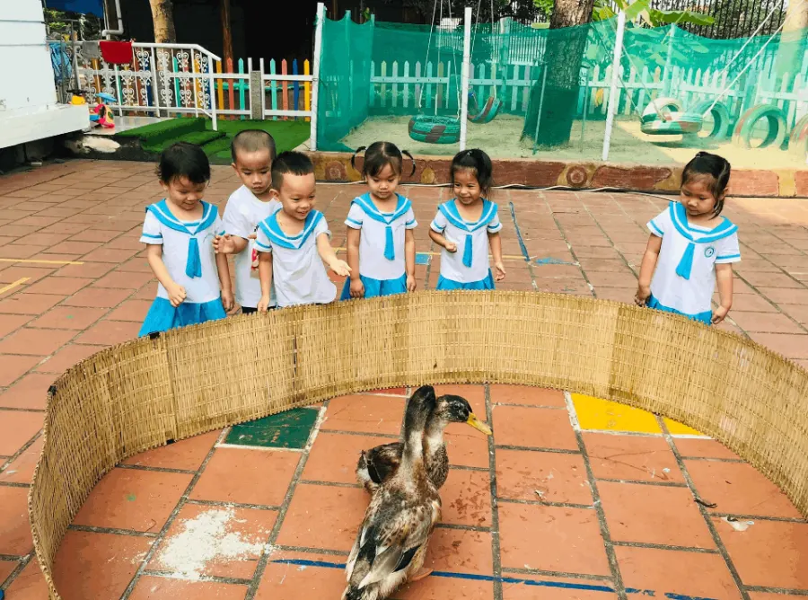 Trường Mầm Non Hải Âu
