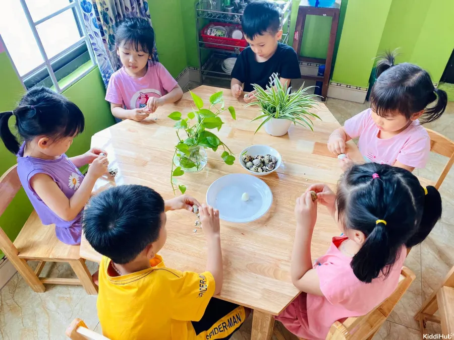 Trường Mầm non Hoa Hướng Dương