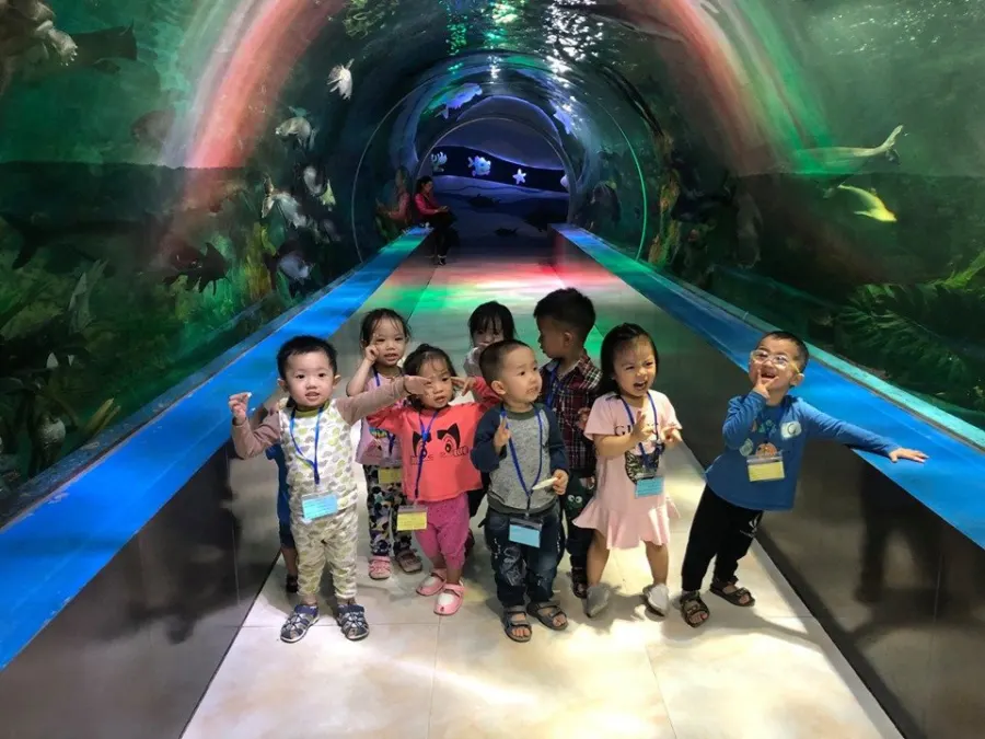 Học viện mầm non Ngôi Sao Nhỏ (Little Stars Academy)