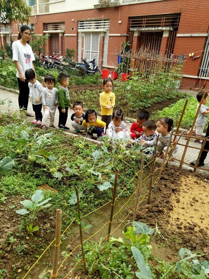 Học viện mầm non Ngôi Sao Nhỏ (Little Stars Academy)