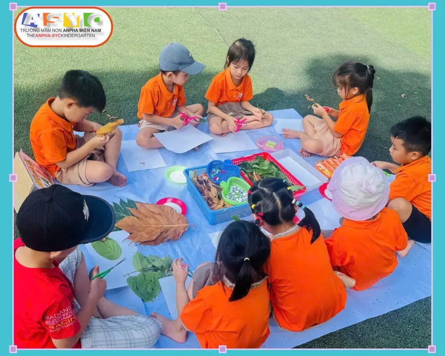 Trường Mầm Non Anpha Miền Nam