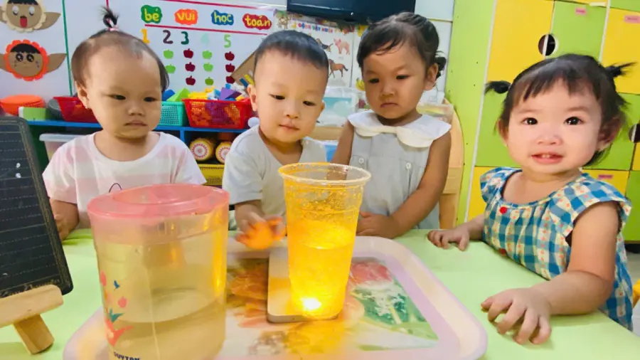 Mầm Non Tuệ Tâm
