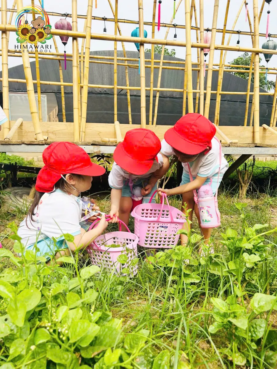Trường mầm non Anh Anh - KĐT Mỹ Đình, Nguyễn Cơ Thạch
