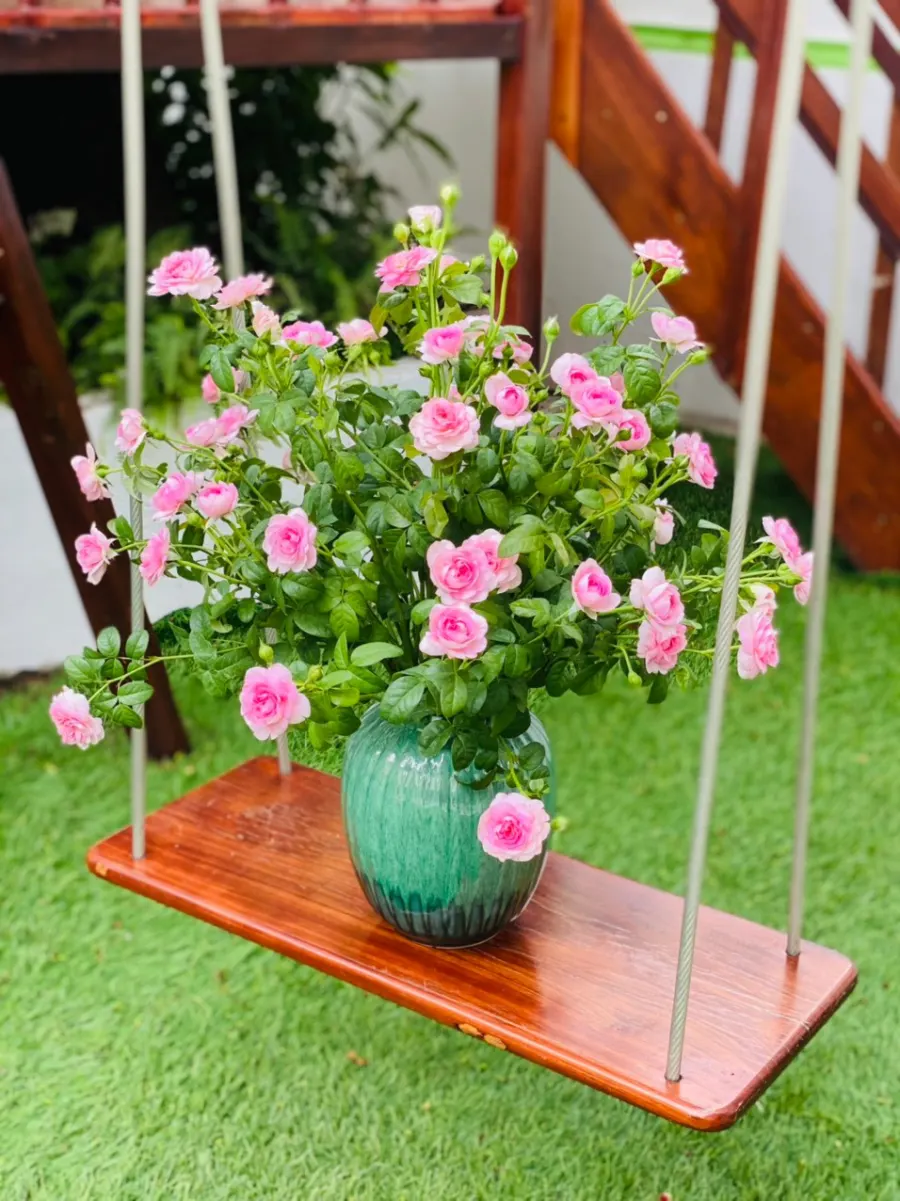 Mầm non song ngữ Jasmine (Jasmine Bilingual Preschool) - KĐT Mỹ Đình 2