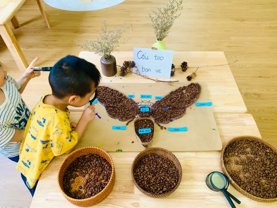 Mầm non song ngữ Jasmine (Jasmine Bilingual Preschool) - KĐT Mỹ Đình 2