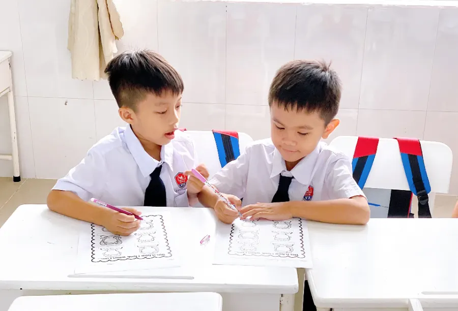Trường Tiểu học - Mầm non Việt Anh