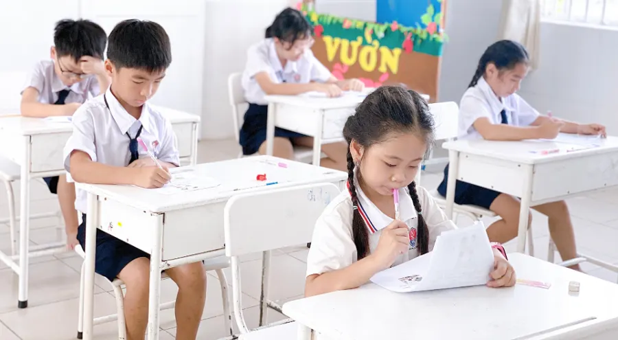 Trường Tiểu học - Mầm non Việt Anh