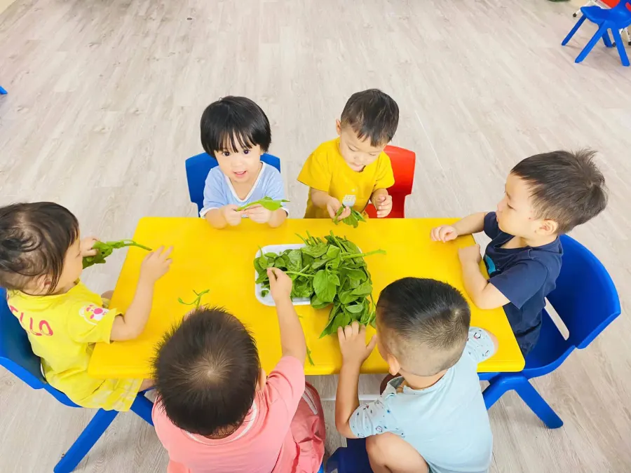 Trường mầm non Bình Minh
