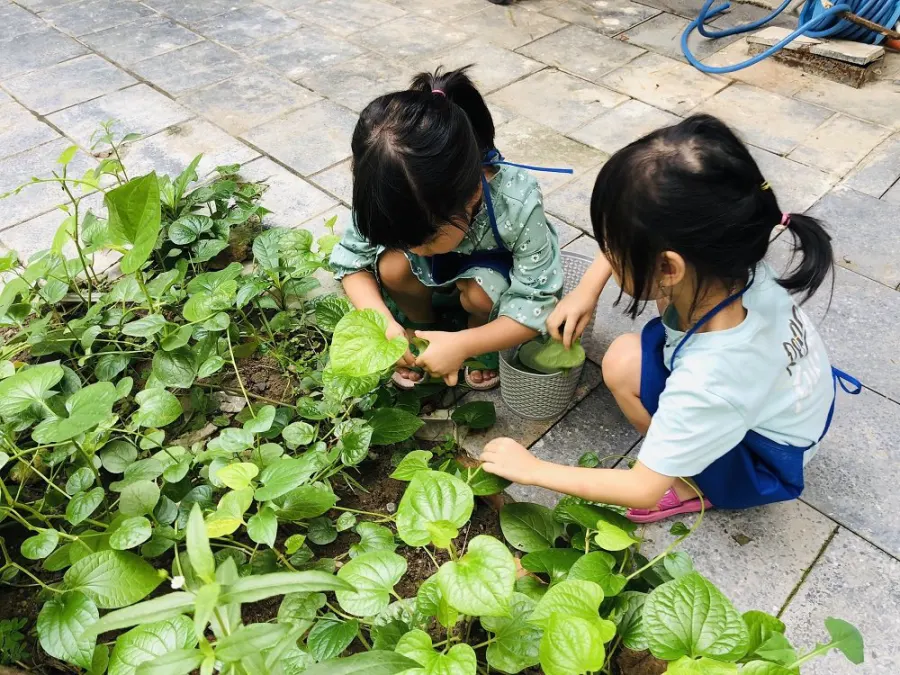 Trường mầm non RMON KINDERGARDEN