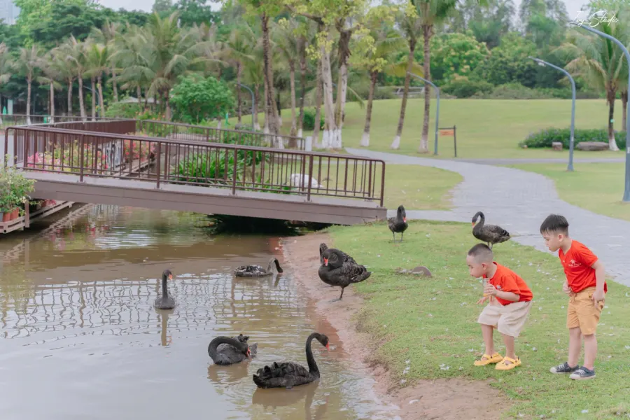Mầm Non Kidz Home