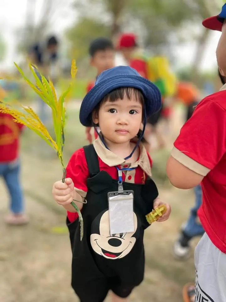 Trường Mầm Non Mặt Trời Victory - An Khánh, Hoài Đức