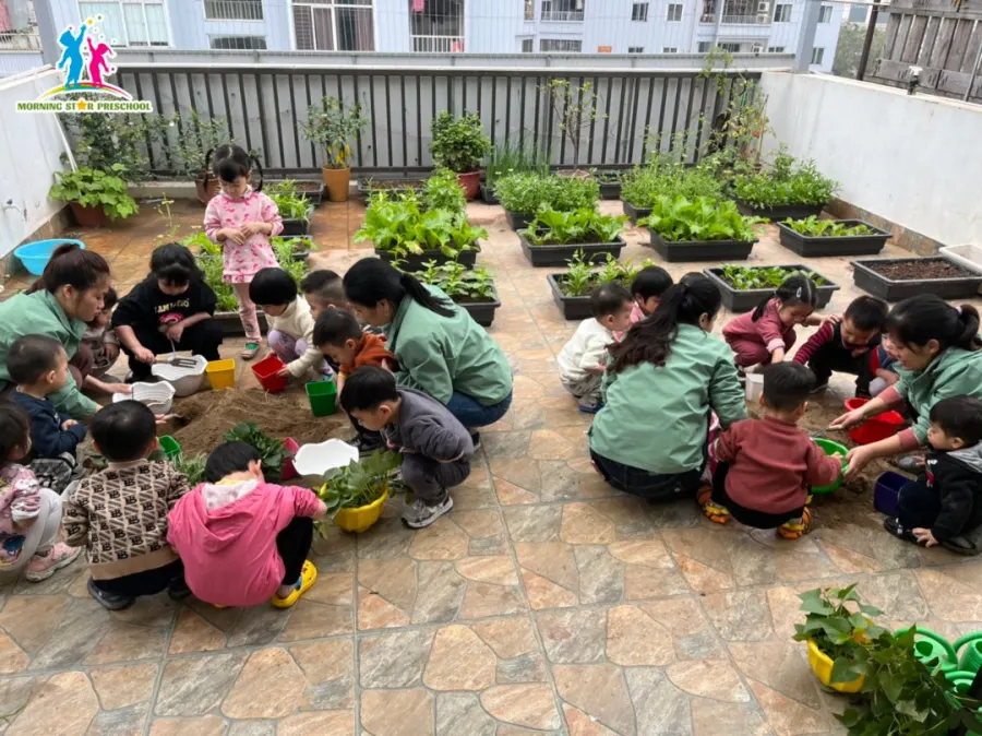 Trường mầm non Song ngữ Sao Mai - Phú Thượng