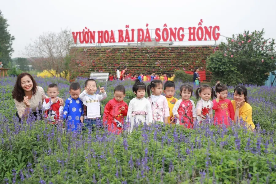 Trường Mầm Non Anh Đào Montessori - Văn Phú, Hà Đông