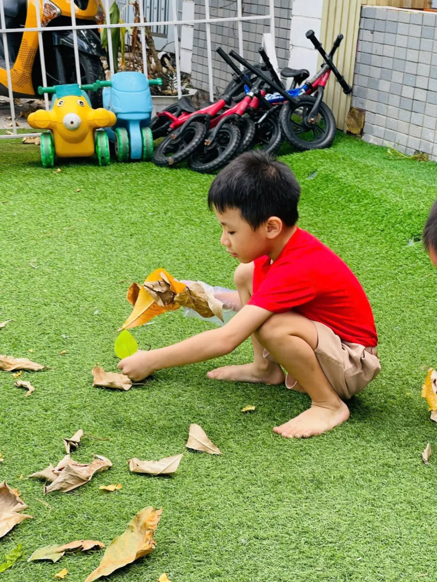 Hệ Thống Mầm Non MindX Preschool - CN Mizuki Bình Chánh